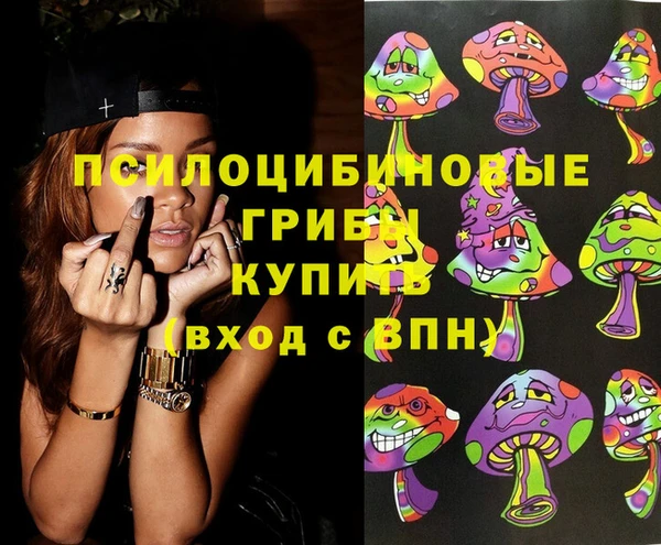 крисы Кукмор