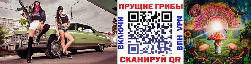 Галлюциногенные грибы GOLDEN TEACHER мега зеркало Южно-Сухокумск